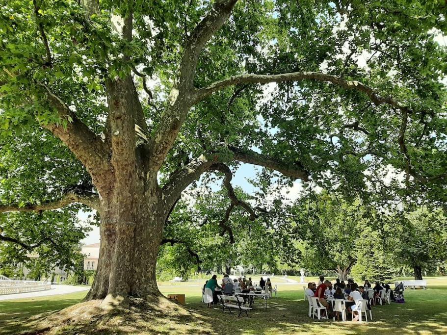 Un séjour d'exception au Logis du Château Saint-Pierre-de-l'Isle Esterno foto