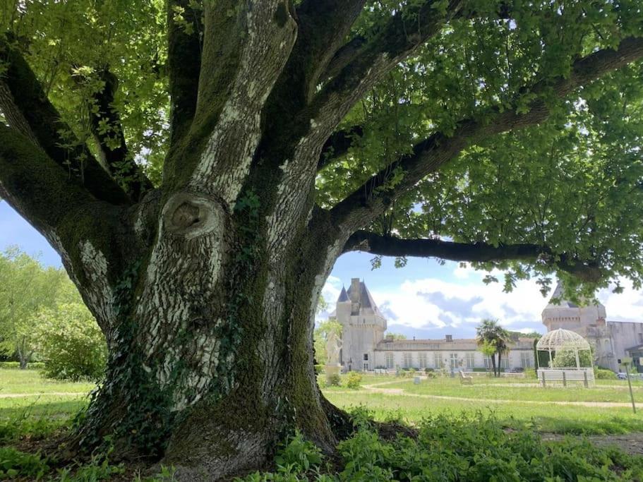 Un séjour d'exception au Logis du Château Saint-Pierre-de-l'Isle Esterno foto